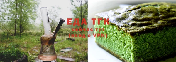тгк Медногорск