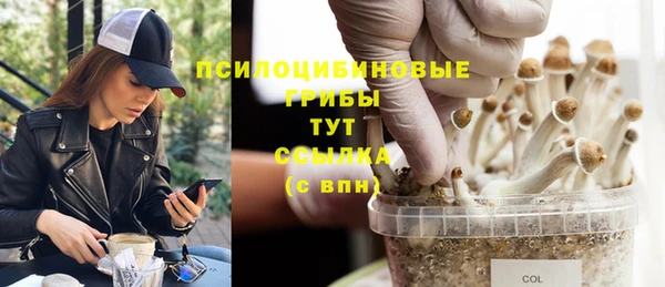 марки lsd Майский