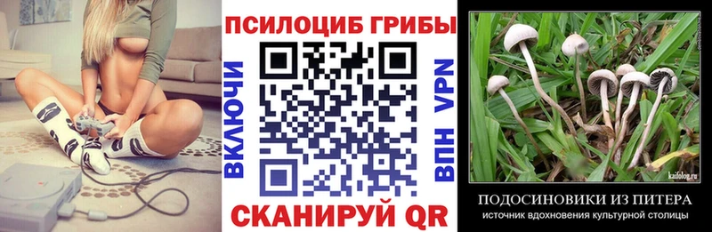 мега tor  где купить наркотик  Сухой Лог  Галлюциногенные грибы Psilocybe 
