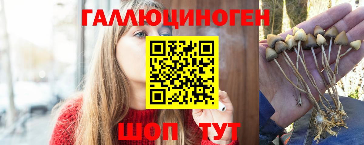 Псилоцибиновые грибы мицелий  Вход с VPN  Сухой Лог 